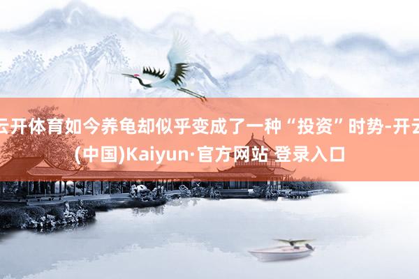 云开体育如今养龟却似乎变成了一种“投资”时势-开云(中国)Kaiyun·官方网站 登录入口